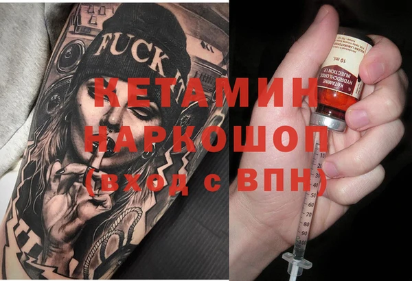 индика Алексин