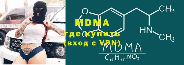 индика Алексин