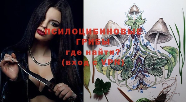 мет Аркадак