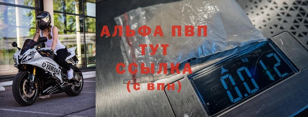 индика Алексин