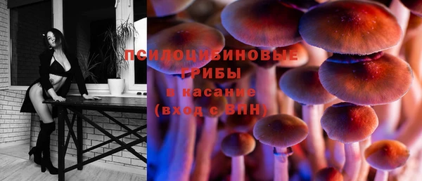 индика Алексин